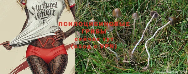 тгк Новый Уренгой