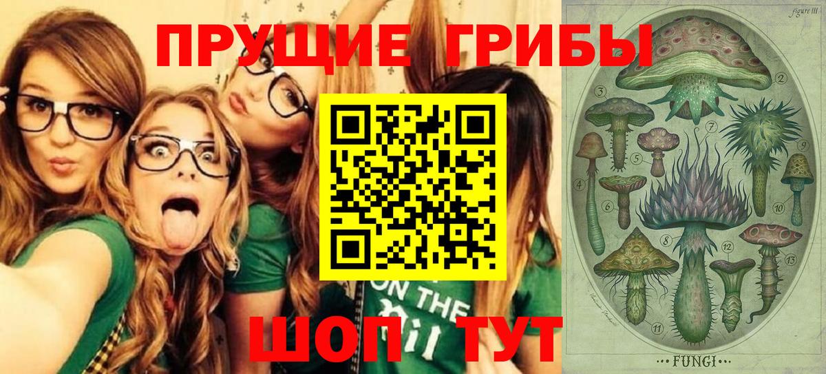 Псилоцибиновые грибы мицелий Спасск-Дальний
