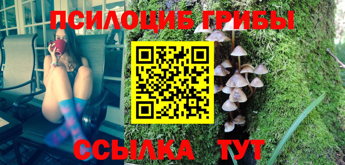 Спасск-Дальний  Псилоцибиновые грибы мухоморы  купить  цена  Вход с VPN 