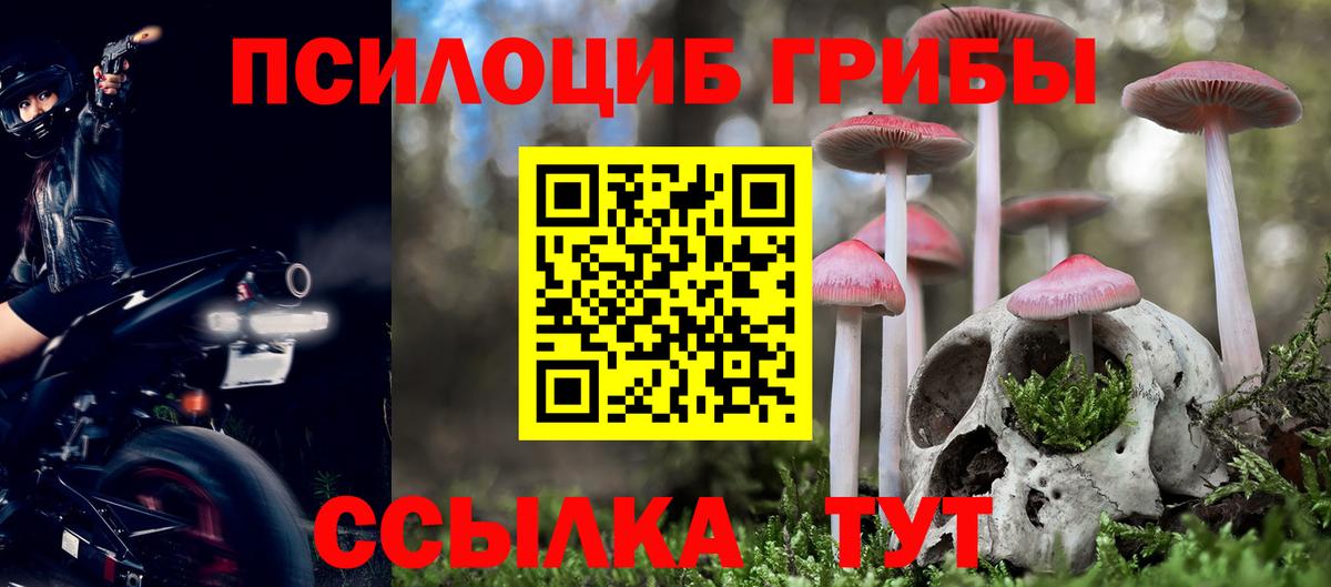 Спасск-Дальний  Галлюциногенные грибы GOLDEN TEACHER  Вход с VPN 