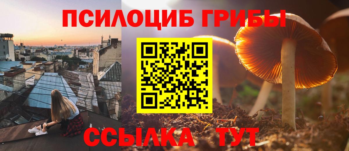 Псилоцибиновые грибы мицелий Спасск-Дальний