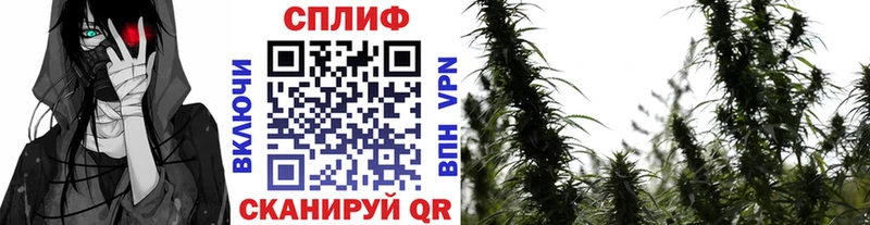 где продают наркотики  Спасск-Дальний  Марихуана AK-47 